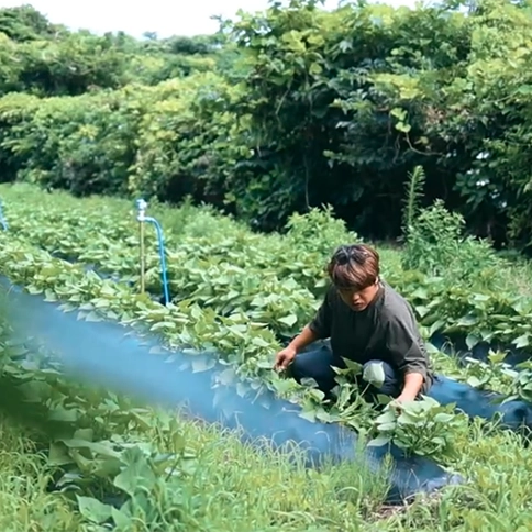 【東京たましま移住定住動画】島しょ地域（新島村）Vol.1