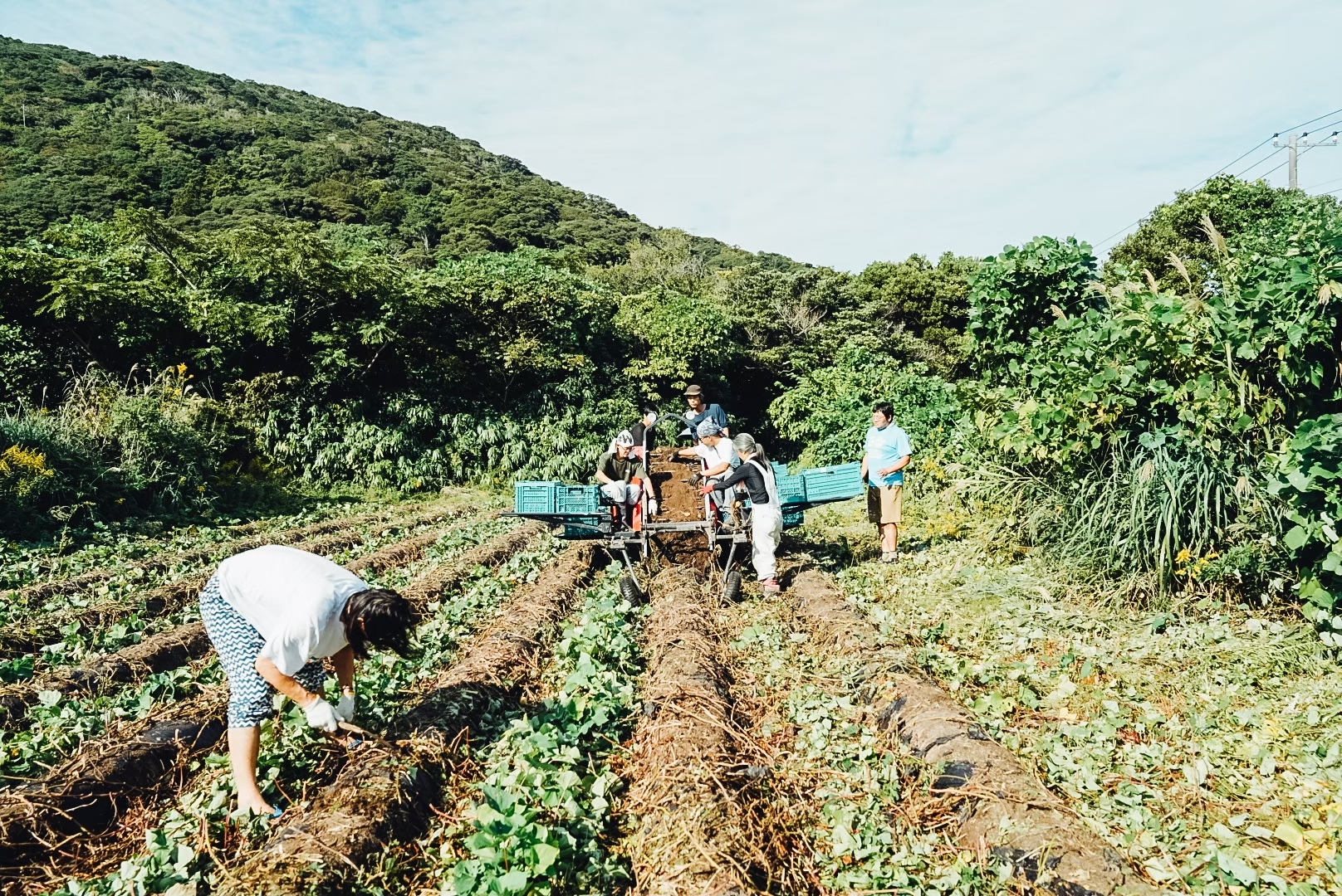 Bed & Harvest コンセプトイメージ