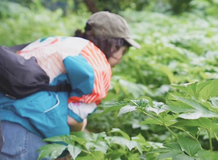 Bed & Harvest コンセプトイメージ